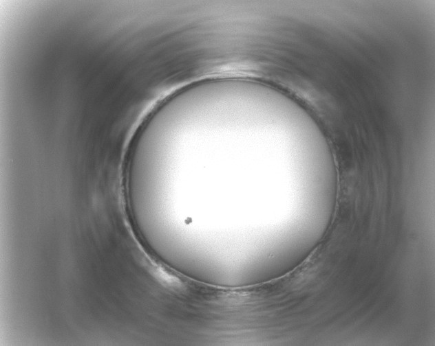 X0000066101470200603131217