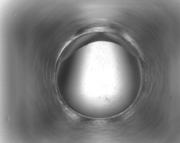 X0000066101473200603131217