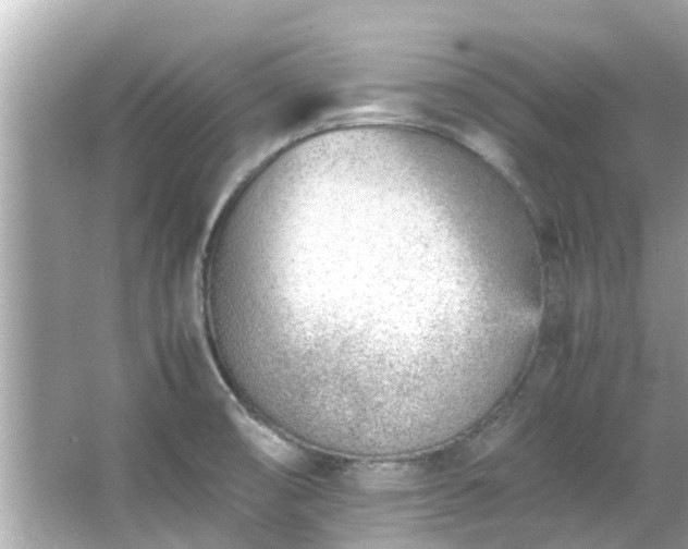 X0000066101474200603131217