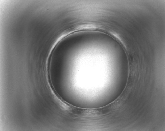 X0000066101475200603131217