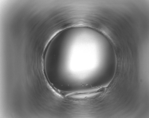 X0000066101476200603131217