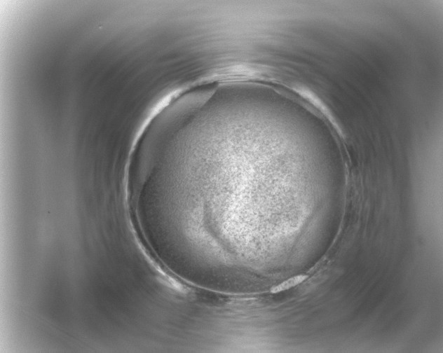 X0000066101477200603131217