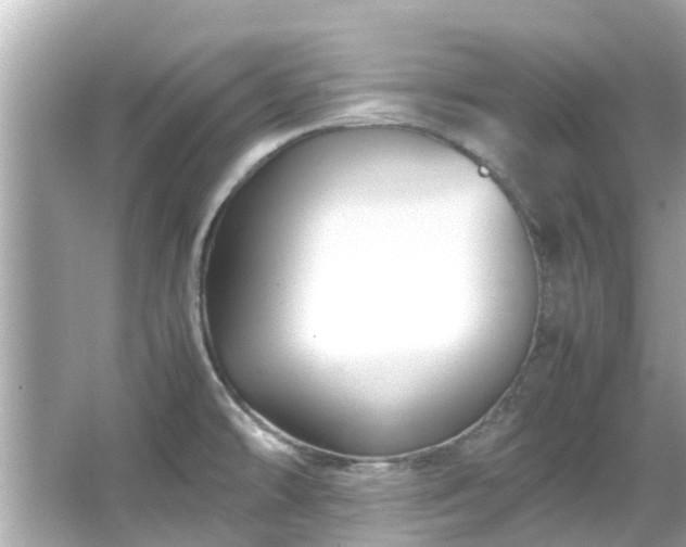 X0000066101478200603131217