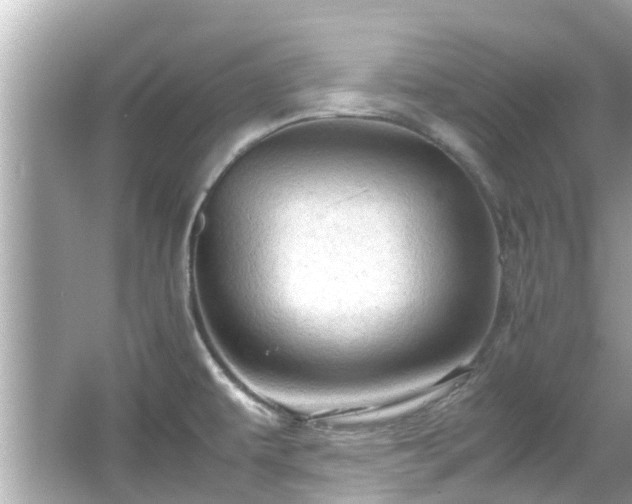 X0000066101479200603131217