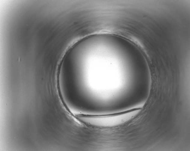 X0000066101480200603131217