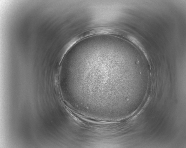 X0000066101481200603131217