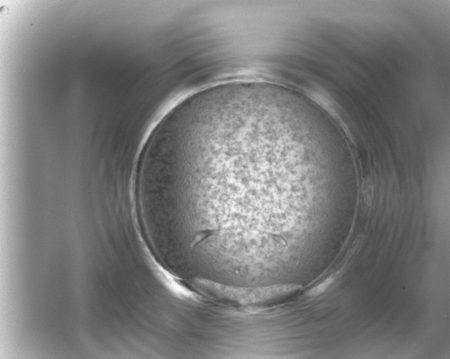 X0000066101482200603131217