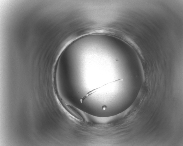 X0000066101483200603131217