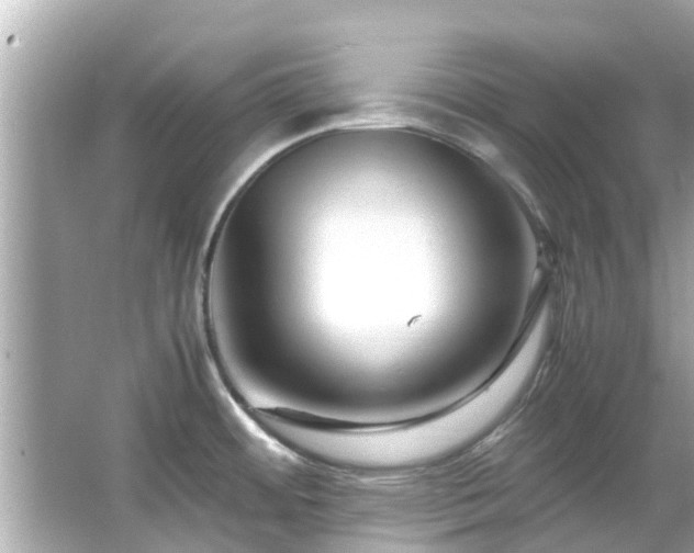 X0000066101484200603131217