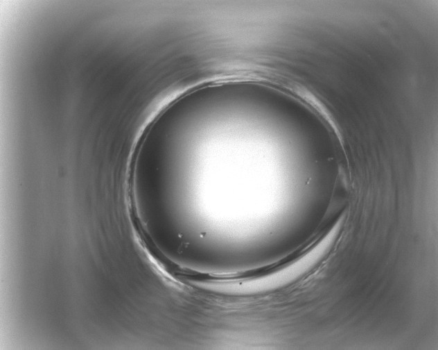 X0000066101485200603131217