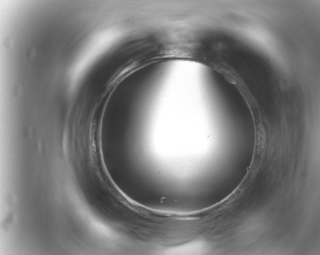 X0000066101487200603131217