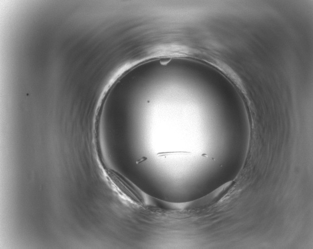 X0000066101488200603131217