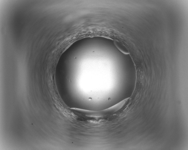 X0000066101489200603131216