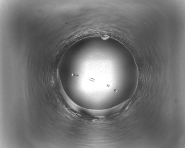 X0000066101490200603131216