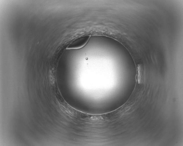 X0000066101491200603131216