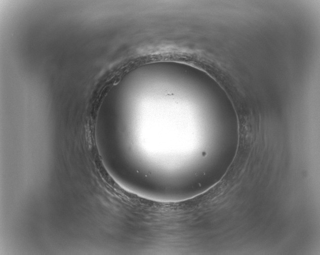 X0000066101493200603131216