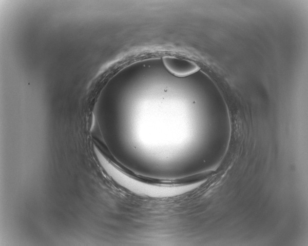 X0000066101494200603131216