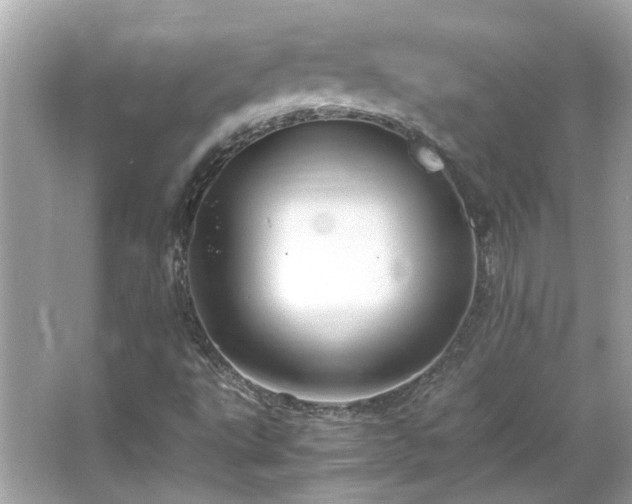 X0000066101495200603131216