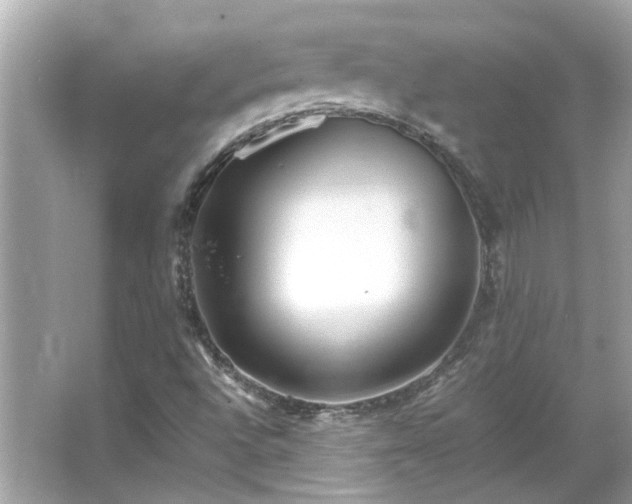 X0000066101496200603131216