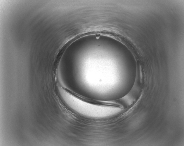 X0000066101497200603131216