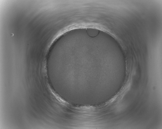 X0000066101498200603131216