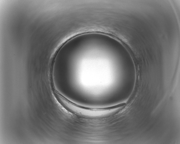 X0000066101500200603131216