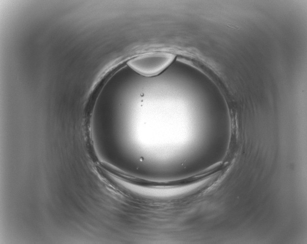 X0000066101501200603131216