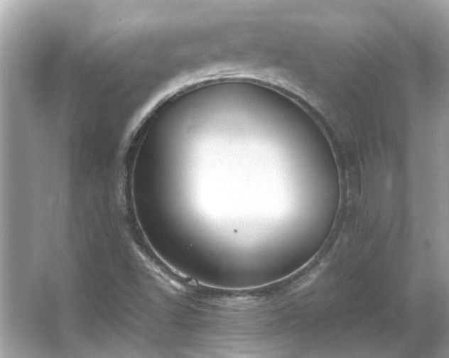 X0000066101502200603131216