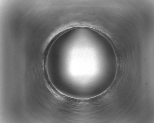 X0000066101503200603131216