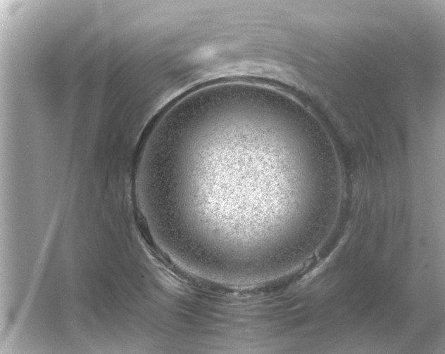 X0000066101505200603131216