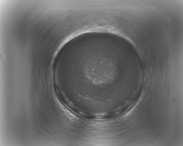 X0000066101506200603131216