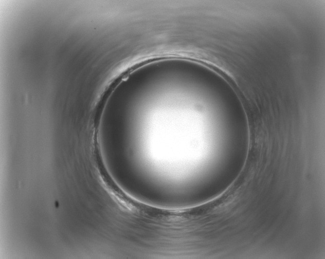 X0000066101507200603131216