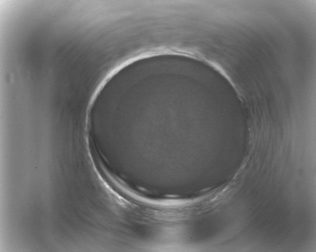 X0000066101508200603131216