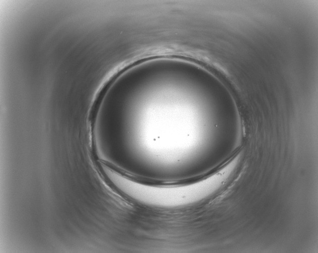 X0000066101509200603131216