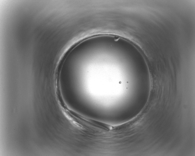 X0000066101511200603131216