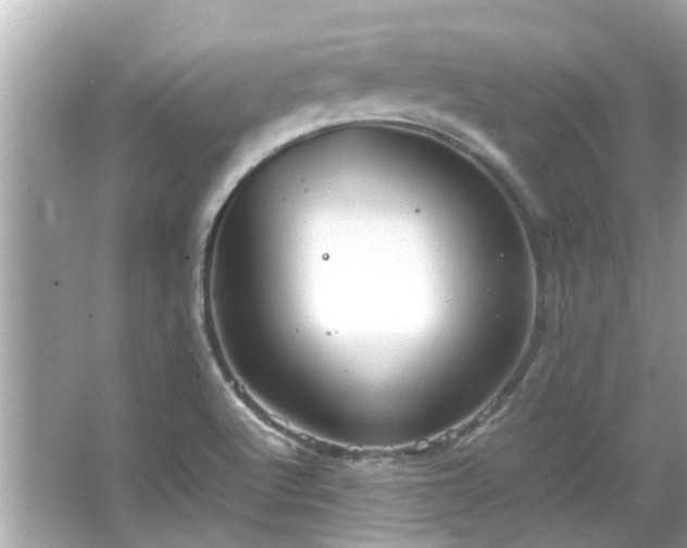 X0000066101512200603131216