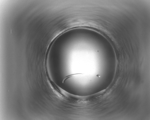 X0000066101513200603131216