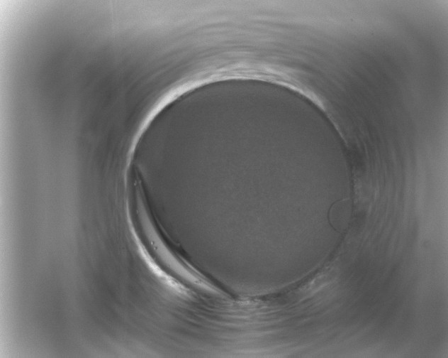 X0000066101515200603131216