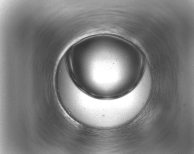 X0000066101516200603131216