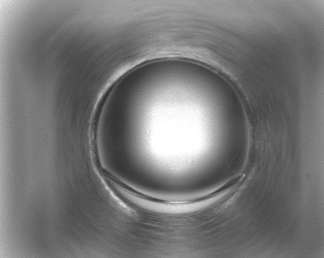 X0000066101517200603131216