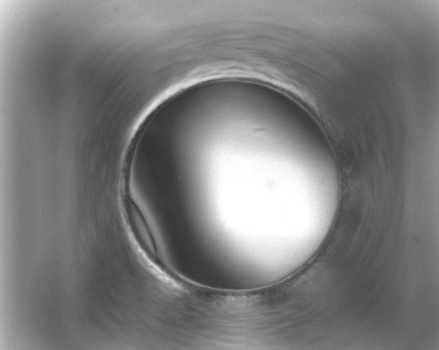 X0000066101518200603131216