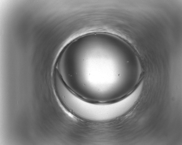 X0000066101519200603131216