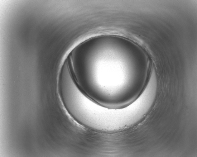 X0000066101520200603131216