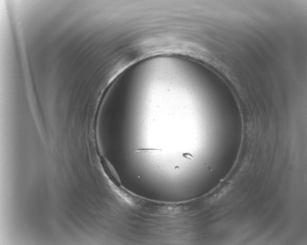 X0000066101521200603131216