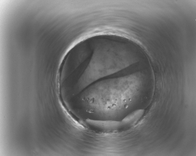 X0000066101522200603131216