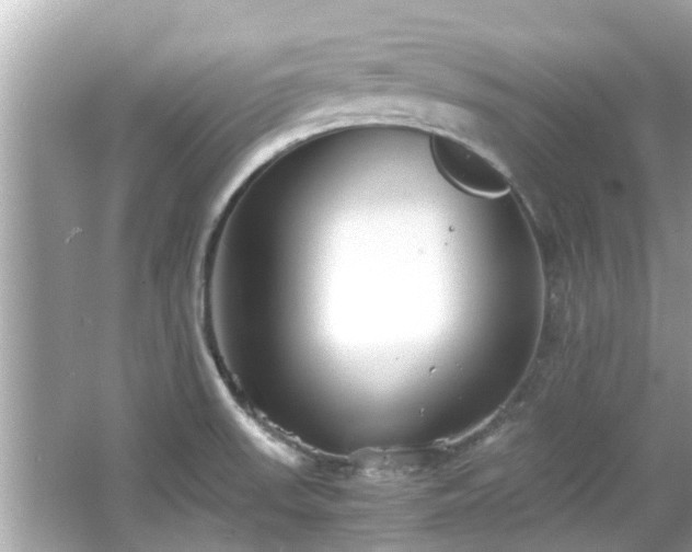 X0000066101523200603131216