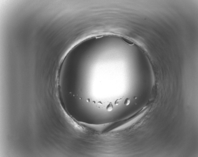 X0000066101524200603131216