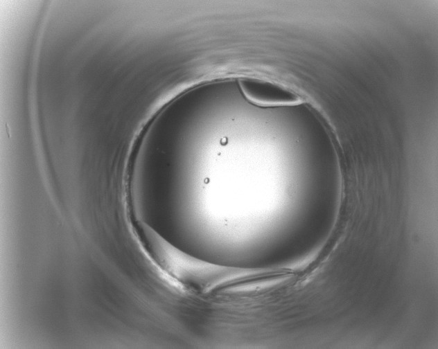 X0000066101525200603131216