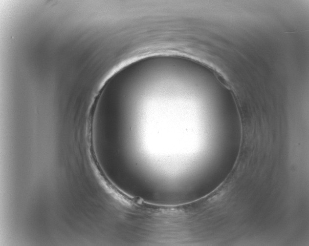 X0000066101526200603131216