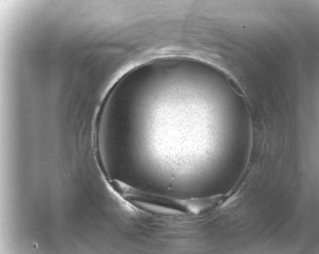 X0000066101527200603131216